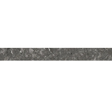 Bodenfliese in Terrazzo-Optik dunkelgrau mit Steineinschlüssen unterschiedlicher Größe.