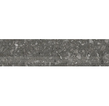 Stufenplatte in Terrazzo-Optik mit drei horizontalen, rutschhemmenden Rillen.