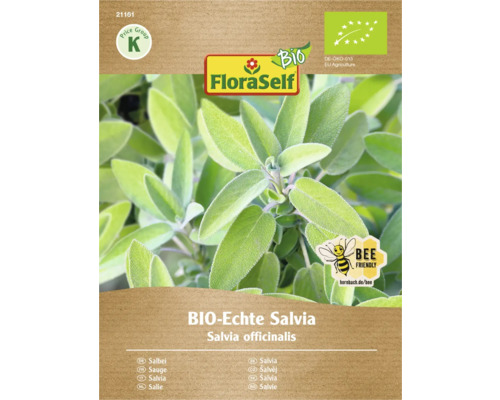 Kräutersamen FloraSelf Bio Echter Salbei BIO Echte Salvia Pflanze im Topf