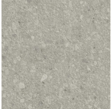 Graue Bodenfliese mit Steinoptik für Innen- und Außenbereiche.