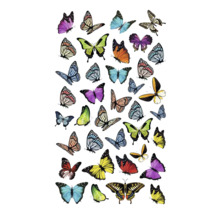 Illustration verschiedener Schmetterlinge