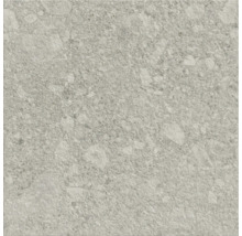 Fliese mit Steindekor