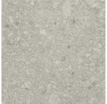 Graue Bodenfliese mit gesprenkelter Oberfläche