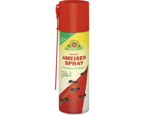 Neudorff Loxiran Ameisenspray für Innen- und Außenbereiche