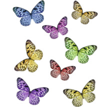 Illustration von verschiedenen bunten Schmetterlingen