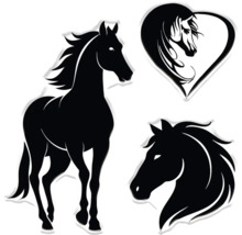 Illustration verschiedener Pferde Silhouetten