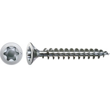 Holzschraube mit Torx Antrieb