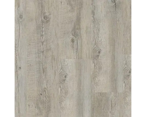 Vinyl-Diele Gerflor Dryback 30 Cabris grau zum Verkleben 184x1219x2 mm Nahaufnahme eines hellen Vinylbodens mit Holzoptik