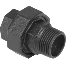 Schwarze Tempergussfitting Rohrverschraubung