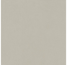 Helle Putzstruktur für Innen- und Außenbereiche