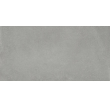 Graue Feinsteinzeugfliese