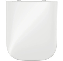 Toilettendeckel aus Kunststoff