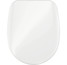 Toilettendeckel aus Kunststoff
