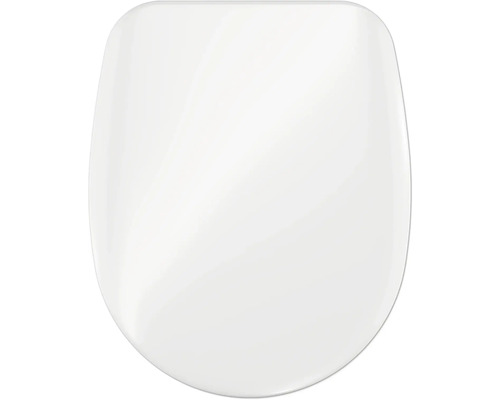 Toilettendeckel aus Kunststoff