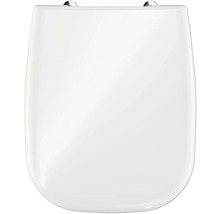 Toilettendeckel aus Kunststoff