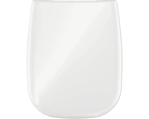 Toilettendeckel aus Kunststoff