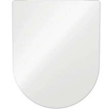 Toilettendeckel aus Kunststoff