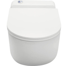 Hänge WC mit Spülkasten