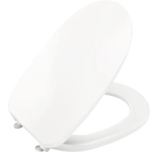 Toilettendeckel aus Kunststoff