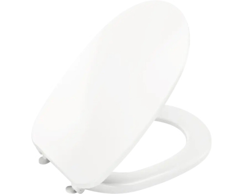 Toilettendeckel aus Kunststoff