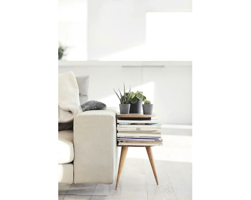 Kleiner Beistelltisch aus Holz mit drei Beinen neben einem Sofa, dekoriert mit drei kleinen Topfpflanzen und einem Stapel Zeitschriften.