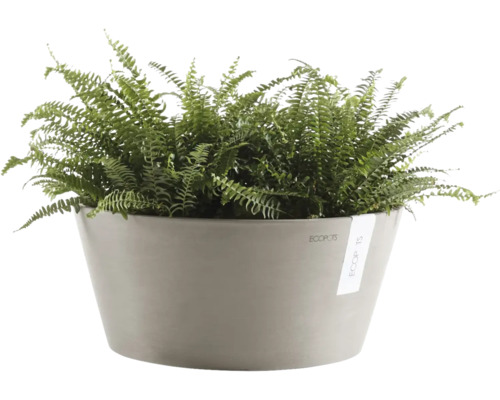 Farn in einem runden grauen Pflanzgefäß von Ecopots.