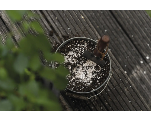 Gefäß mit Pflanzerde, Perlit und einer kleinen Schaufel auf einer Holzoberfläche