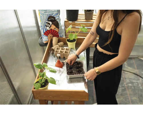 Frau bepflanzt Anzuchtschale mit Erde auf einem Tisch im Gewächshaus, im Hintergrund Anzuchterde