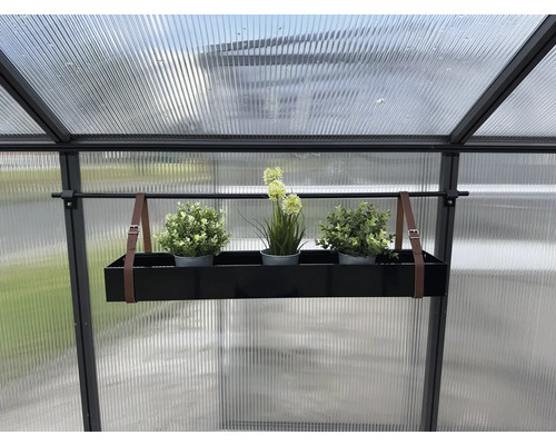 Gewächshaus mit hängendem Pflanzkasten und Pflanzen