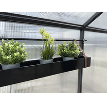 Hängepflanzregal mit Kunstpflanzen im Gewächshaus