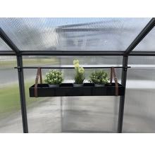 Gewächshaus mit hängendem Pflanzkasten und Pflanzen