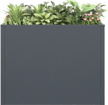 Hochbeet aus Metall mit verschiedenen Pflanzen