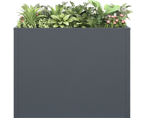 Hochbeet aus Metall mit verschiedenen Pflanzen