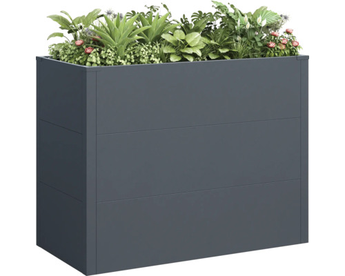 Grauer Pflanzkasten mit Pflanzen