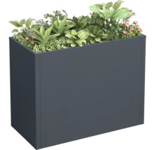 Hochbeet mit Bepflanzung