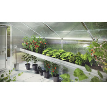 Gewächshaus mit Pflanzen auf Regalen und im Topf