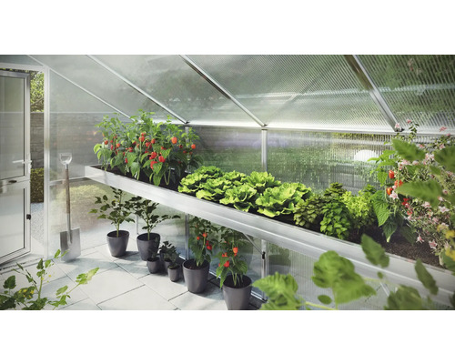 Gewächshaus mit Pflanzen auf Regalen und im Topf