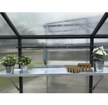 Innenansicht eines Gewächshauses mit Regal, Pflanzen und Gartengeräten.