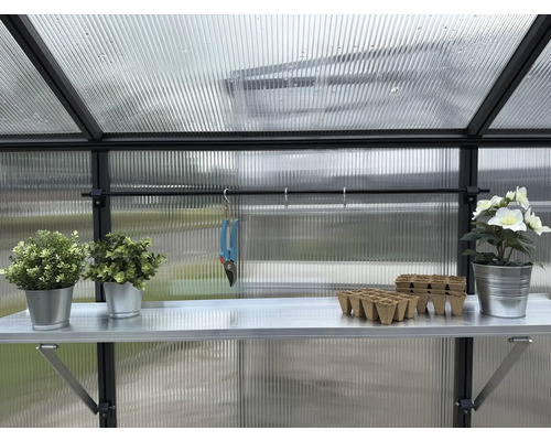 Innenansicht eines Gewächshauses mit Regal, Pflanzen und Gartengeräten.