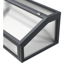 Frühbeetkasten mit transparenten Wänden und Deckel