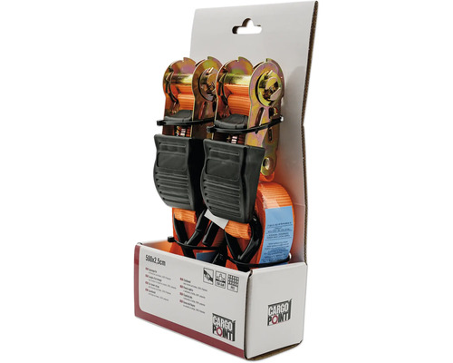 Spanngurte 500x2,5 cm im Set mit Ratsche und Haken aus Polyester in Verpackung