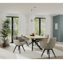 Heller Essbereich mit Esstisch, Stühlen und Pflanzen