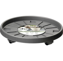 Pflanzenroller aus Kunststoff mit Rollen