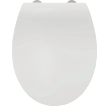 Toilettendeckel aus Kunststoff mit Befestigung