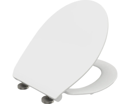 Toilettendeckel aus Kunststoff