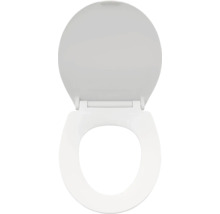 Toilettendeckel aus Kunststoff, offene Position