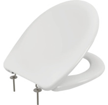 Toilettendeckel aus Sanitärkeramik mit Befestigungsmaterial