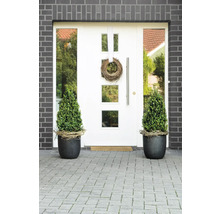 Eingangsbereich eines Hauses mit Haustür, Pflanzen und Dekoration