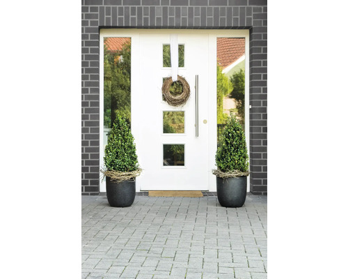 Buchsersatz Ilex crenata 'Robustico' Kegel H ca. 80-90 cm Eingangsbereich eines Hauses mit Haustür, Pflanzen und Dekoration