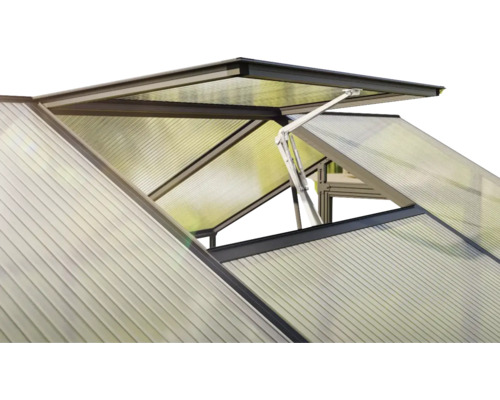 Detailansicht eines Gewächshauses mit geöffnetem Dachfenster zur Belüftung